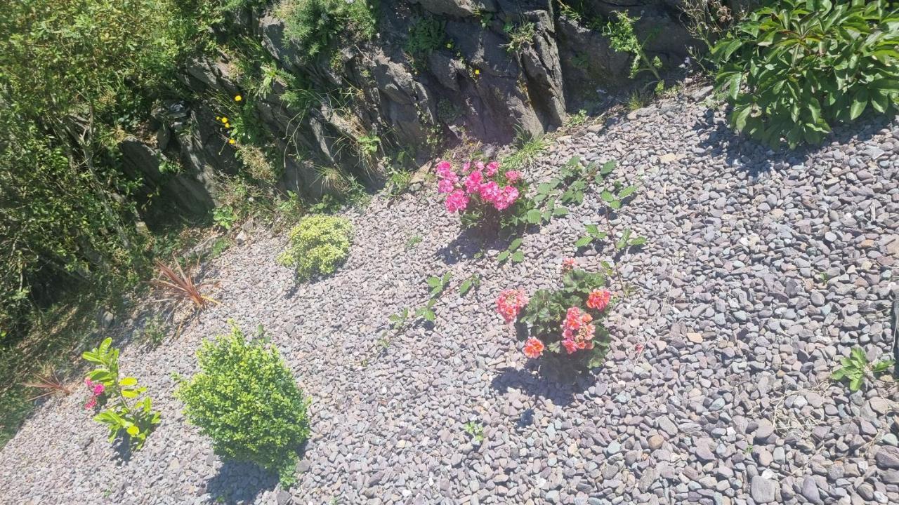 Fab View (Adults Only) 호텔 딩글 외부 사진